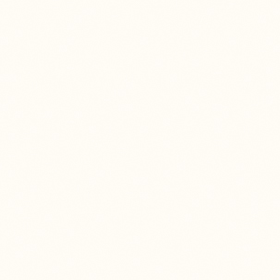 Winter White (Over-sized, 48