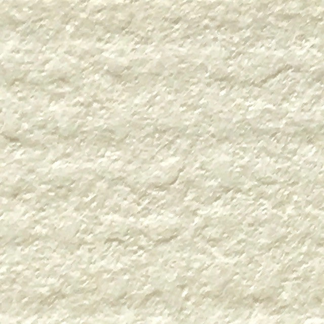 Palm