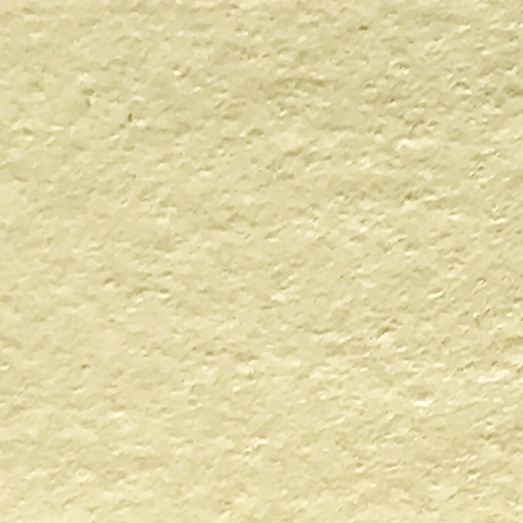 Sole (Vellum Surface)