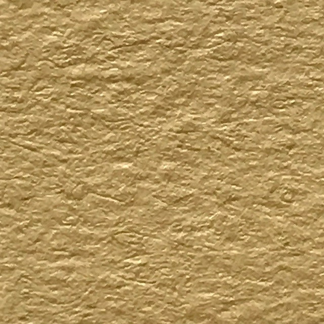 Biscotti