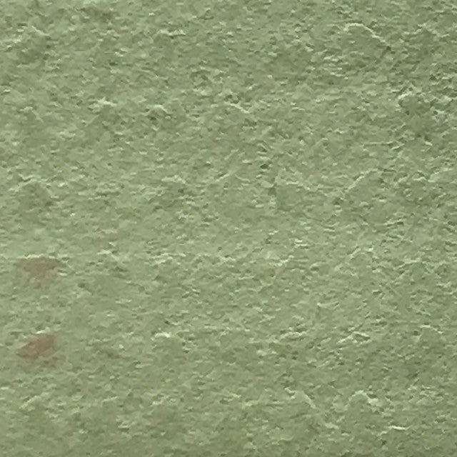 Parakeet