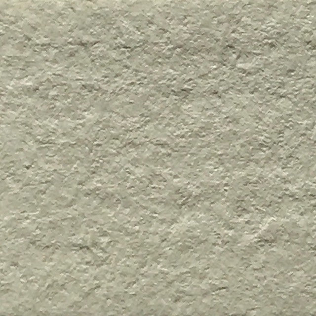Palomino