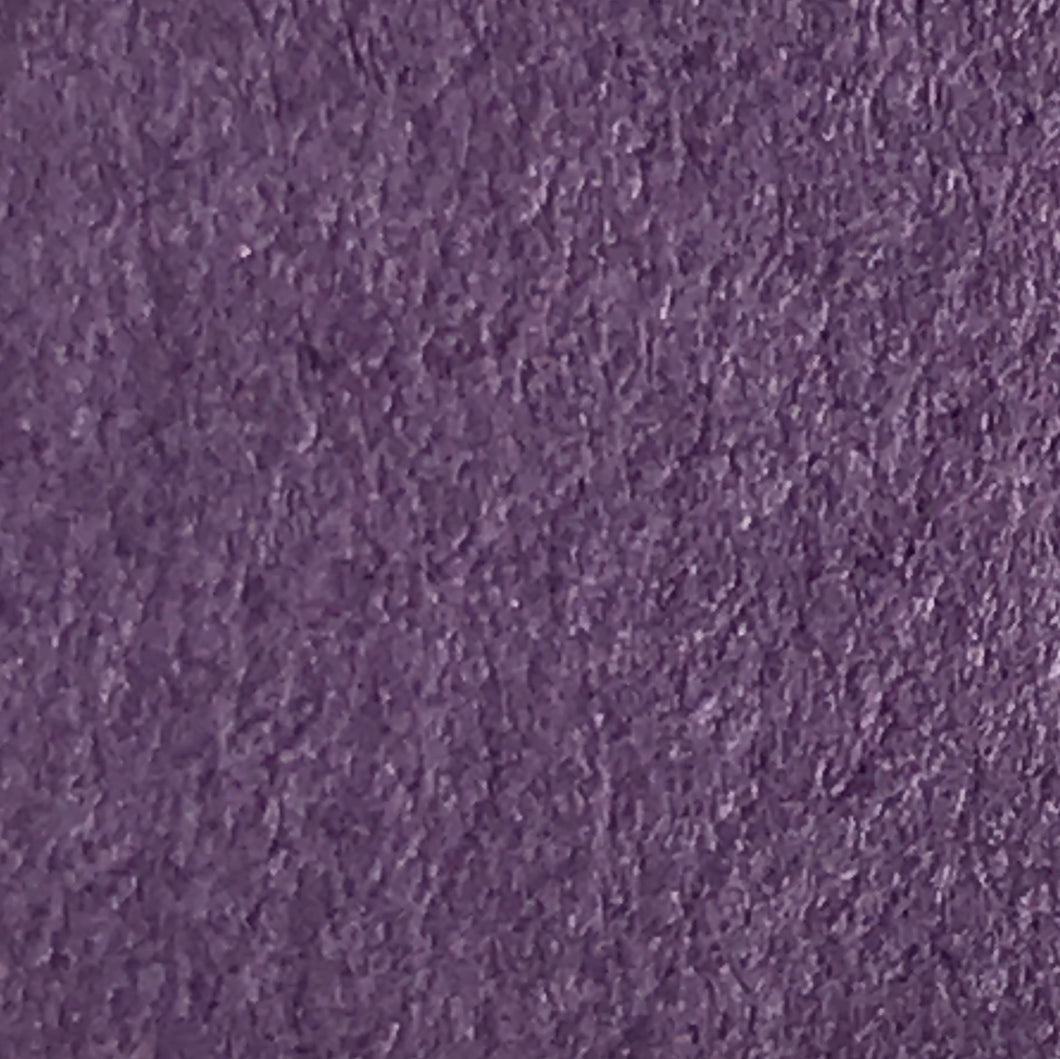 Purple Iris