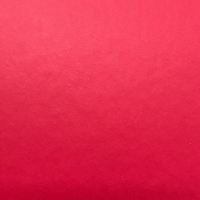 Carnation