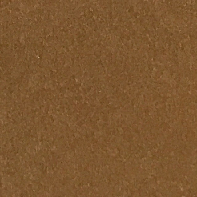 Ginger