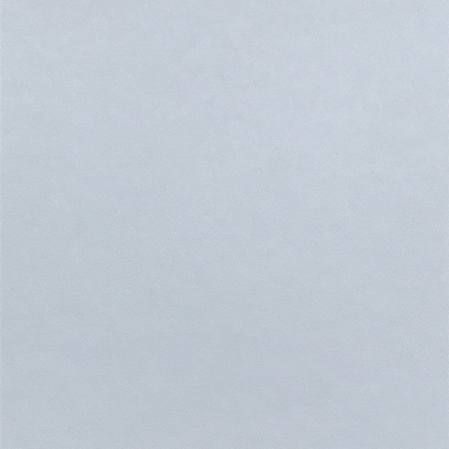 Polar White (Vellum Surface)
