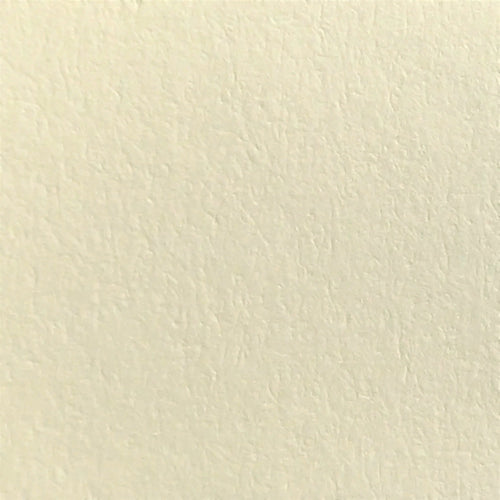 Parmesan