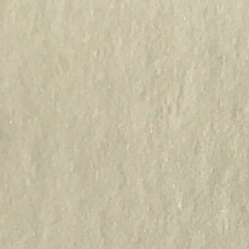 Arctic White