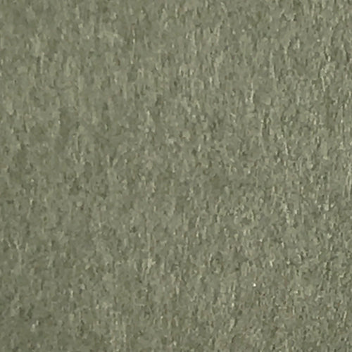 Neutral Gray