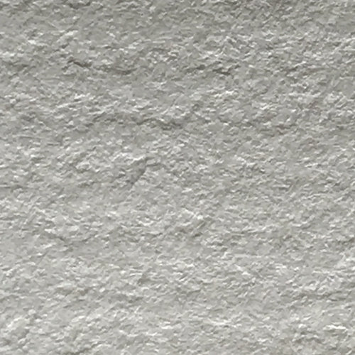 Gull Grey