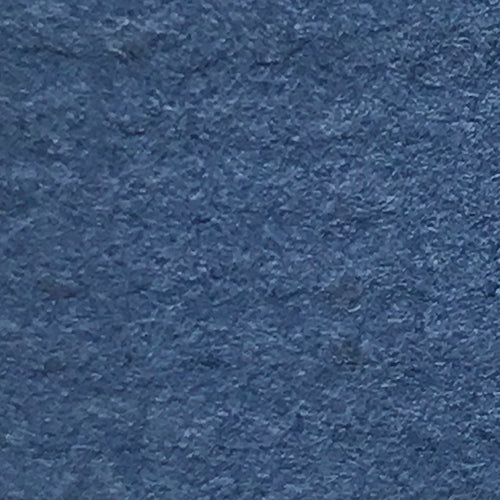 Blue Iris