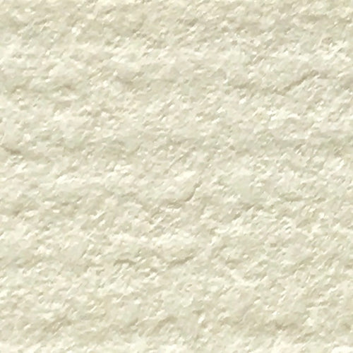 Palm