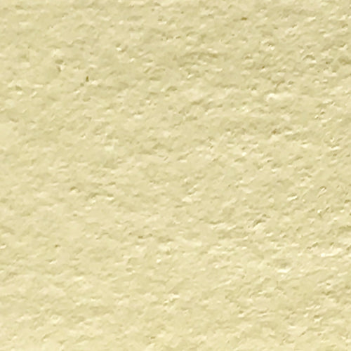 Sole (Vellum Surface)