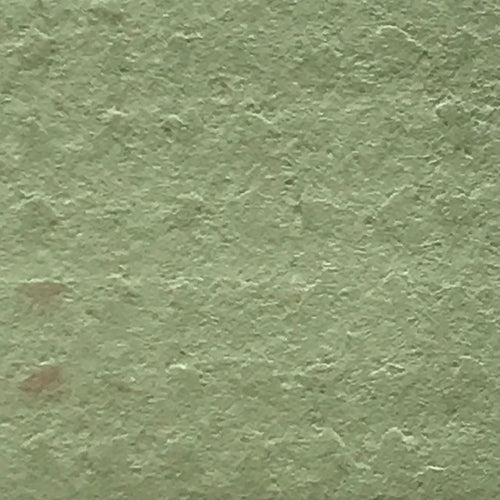 Parakeet