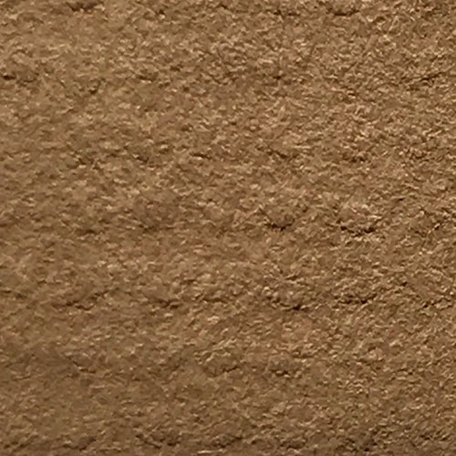 Pecan