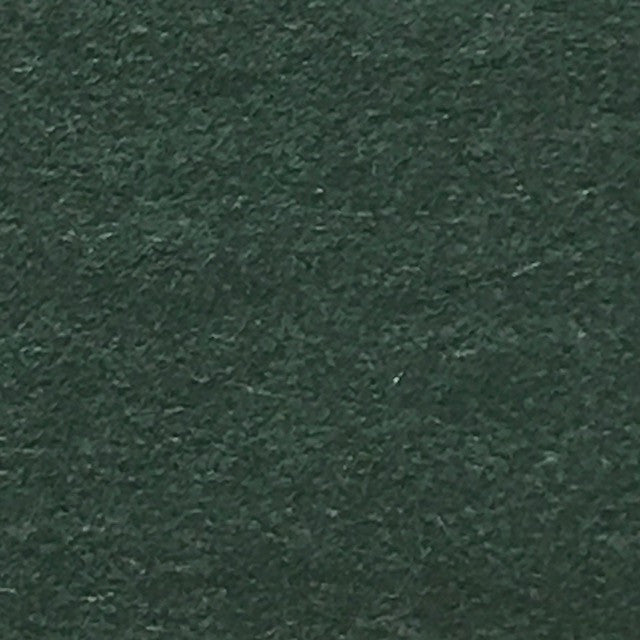 Black Spruce (Over-sized)