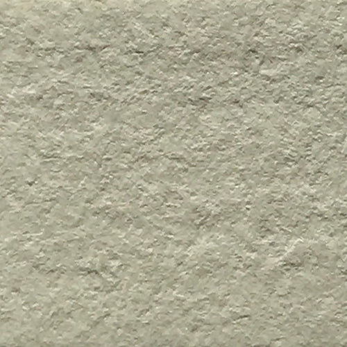 Palomino