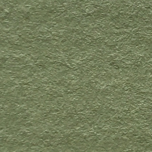 Pampas (Vellum Surface)