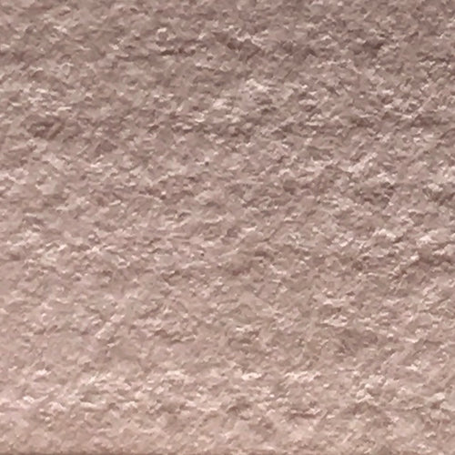 Powder Rose