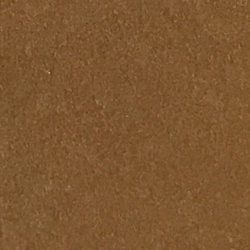 Ginger