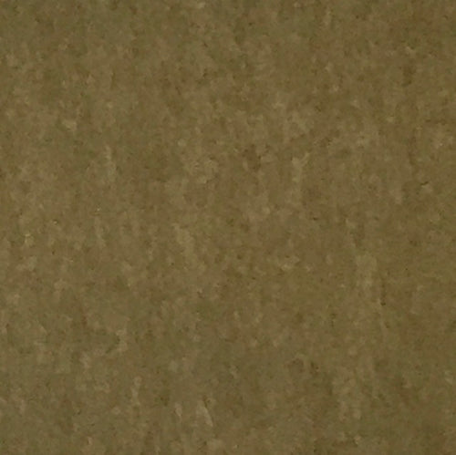 Lentil