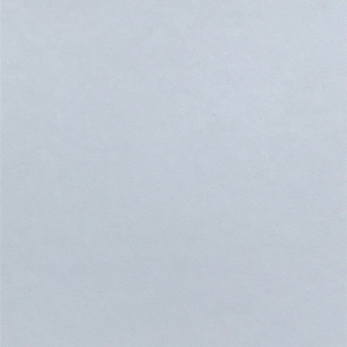 Polar White (Vellum Surface)